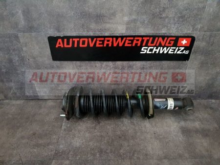 2065FG130 Federbein Hinten Links Subaru Impreza 2.0D