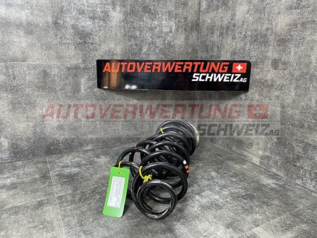 Federn Hinten Skoda Octavia C 2.0TDI