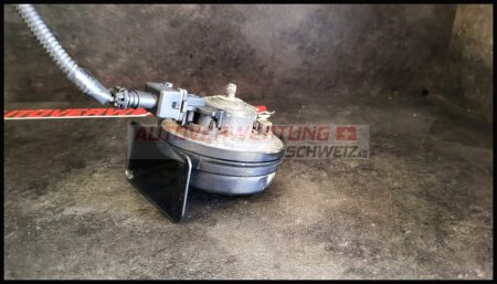 HUPE HORN RANULT