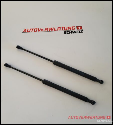 51237060550 Haubendämpfer BMW