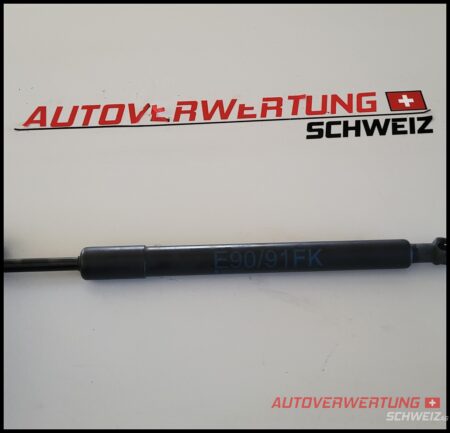 51237060550 Haubendämpfer BMW – Bild 2